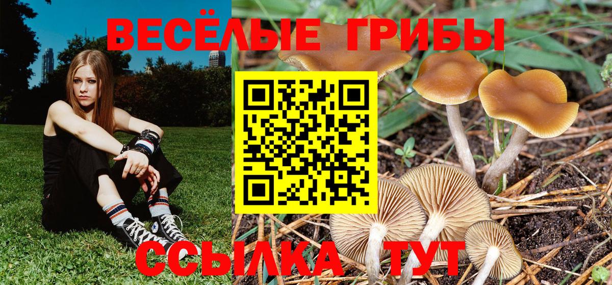Псилоцибиновые грибы Psilocybine cubensis  Вход с VPN  Златоуст 